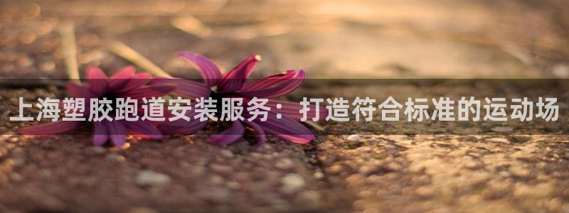 百度红足一1是干什么的：上海塑胶跑道安装服务：打造符合标准的运动场
