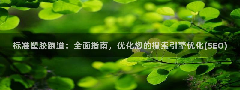 红足1世开奖预测：标准塑胶跑道：全面指南，优化您的搜索引擎优化(SEO)