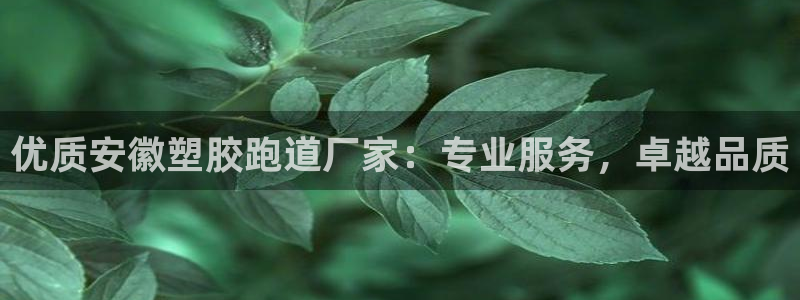 红足一1世手机版新皇冠：优质安徽塑胶跑道厂家：专业服务，卓越品质