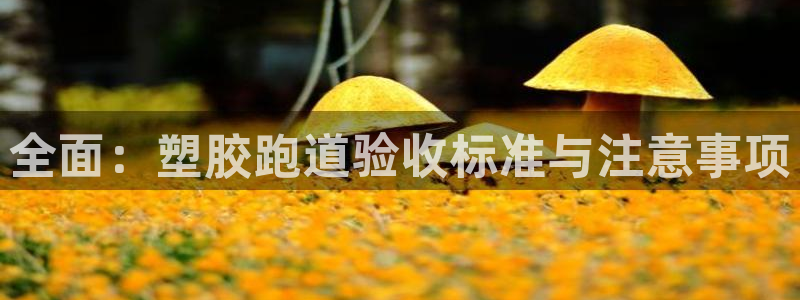 红足一球：全面：塑胶跑道验收标准与注意事项