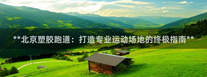 红足1世足球比分 localhost：**北京塑胶跑道：打造专业运动场地的终极指南**