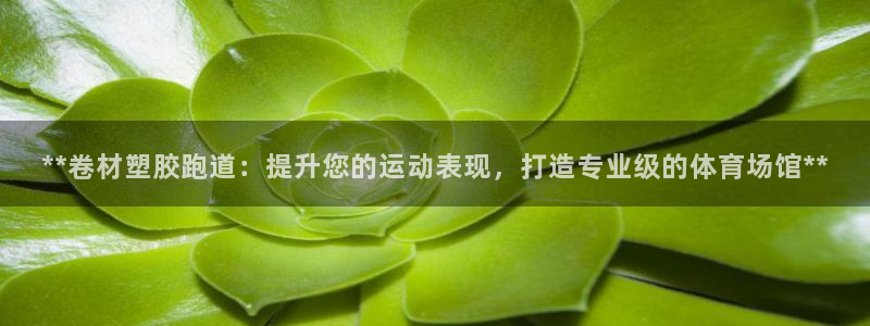 红足一1世比分：**卷材塑胶跑道：提升您的运动表现，打造专业级的体育场馆**