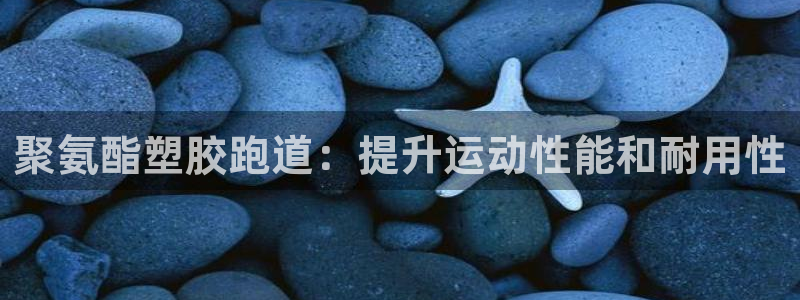 红足1世手机版下载：聚氨酯塑胶跑道：提升运动性能和耐用性
