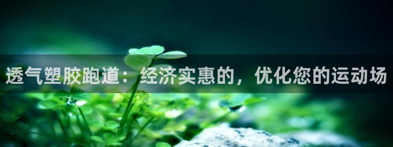 红足1世足球网址：透气塑胶跑道：经济实惠的，优化您的运动场