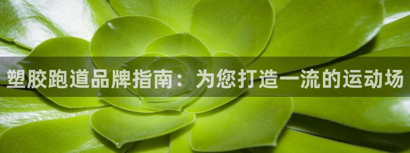 红足1世1站2站管理网：塑胶跑道品牌指南：为您打造一流的运动场