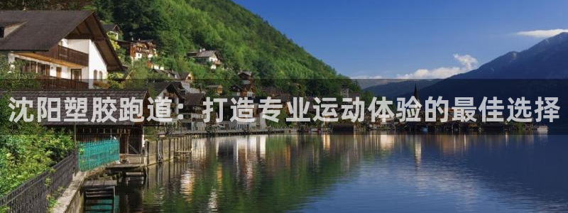 红姐现场直播开奖记录：沈阳塑胶跑道：打造专业运动体验的最佳选择