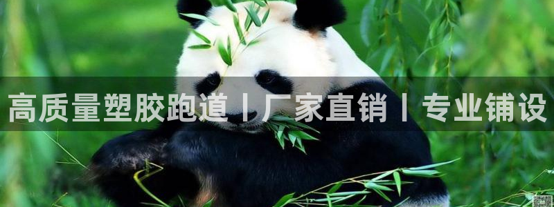 红世一足球比分：高质量塑胶跑道丨厂家直销丨专业铺设