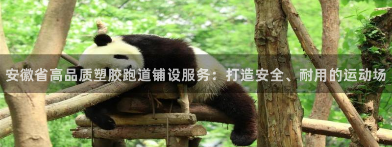 77814红足1世：安徽省高品质塑胶跑道铺设服务：打造安全、耐用的运动场