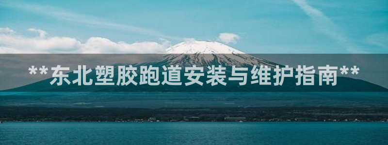 红足一1世66814：**东北塑胶跑道安装与维护指南**