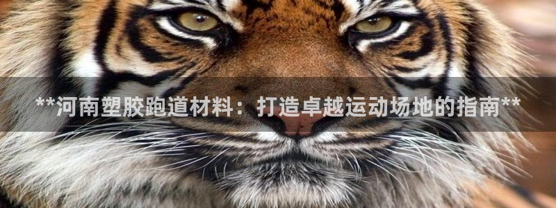 红足一1世666814足球：**河南塑胶跑道材料：打造卓越运动场地的指南**