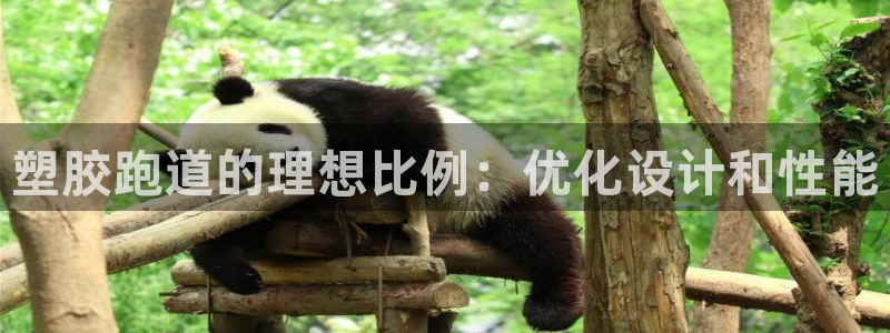 红足一1世77814：塑胶跑道的理想比例：优化设计和性能