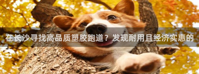 红足一1世手机开奖：在长沙寻找高品质塑胶跑道？发现耐用且经济实惠的