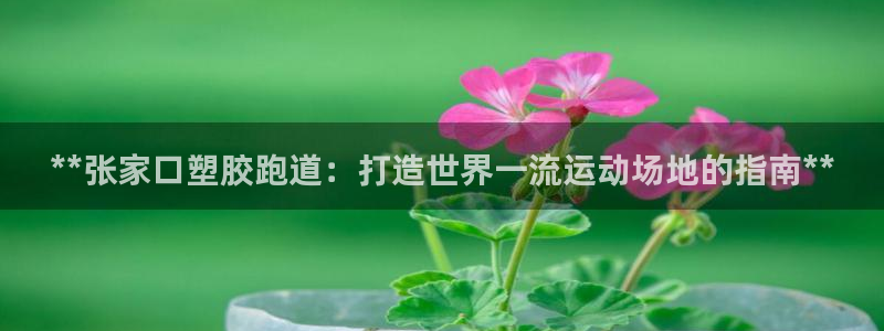 红足一丰：**张家口塑胶跑道：打造世界一流运动场地的指南**