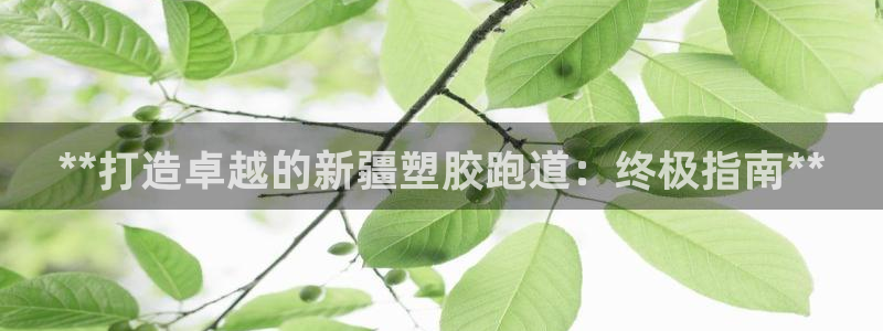 红姐现场直播开奖记录：**打造卓越的新疆塑胶跑道：终极指南**