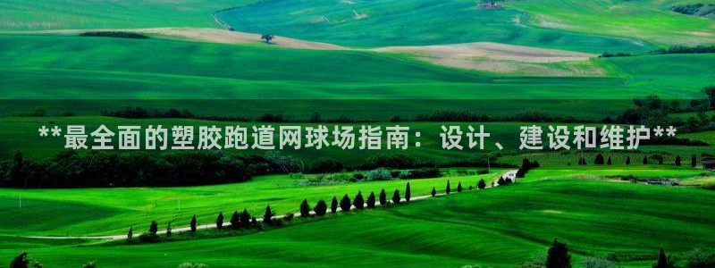 红足1世官网：**最全面的塑胶跑道网球场指南：设计、建设和维护**