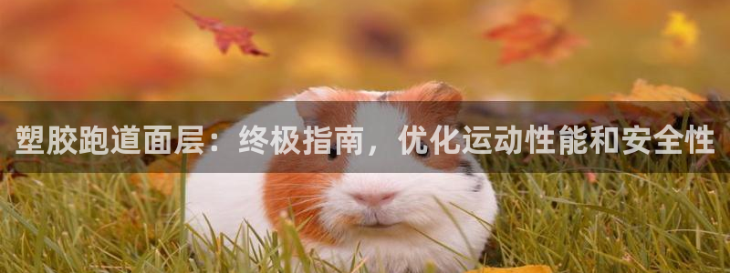 红足1一世红：塑胶跑道面层：终极指南，优化运动性能和安全性