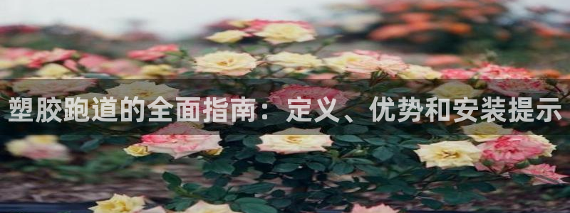 红足一1世手机开奖：塑胶跑道的全面指南：定义、优势和安装提示