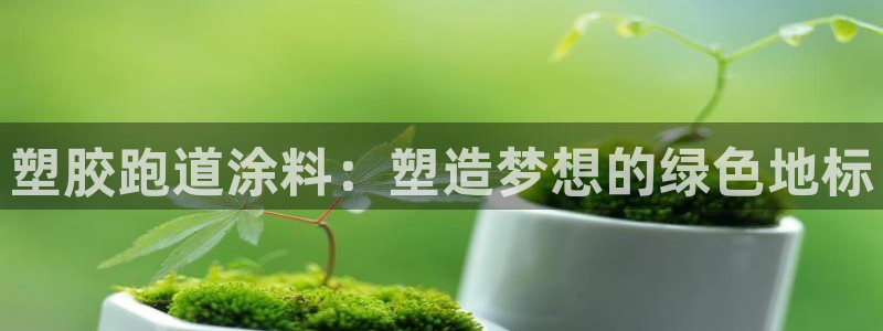 红足一1世66814新宝：塑胶跑道涂料：塑造梦想的绿色地标