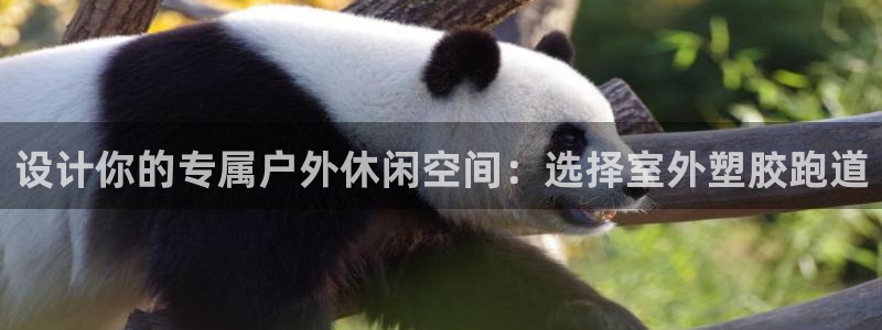 红足一比分网：设计你的专属户外休闲空间：选择室外塑胶跑道