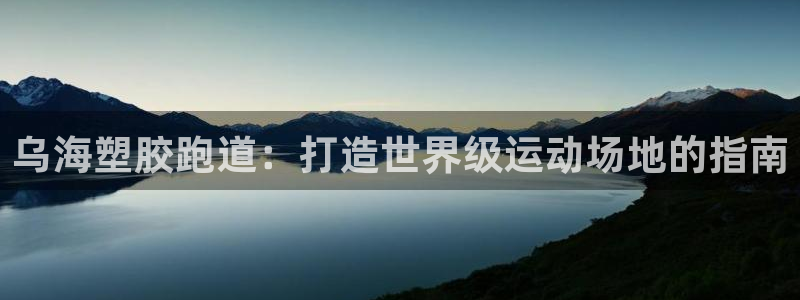 红足一1世：乌海塑胶跑道：打造世界级运动场地的指南