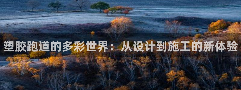 红足i世足球手机网：塑胶跑道的多彩世界：从设计到施工的新体验