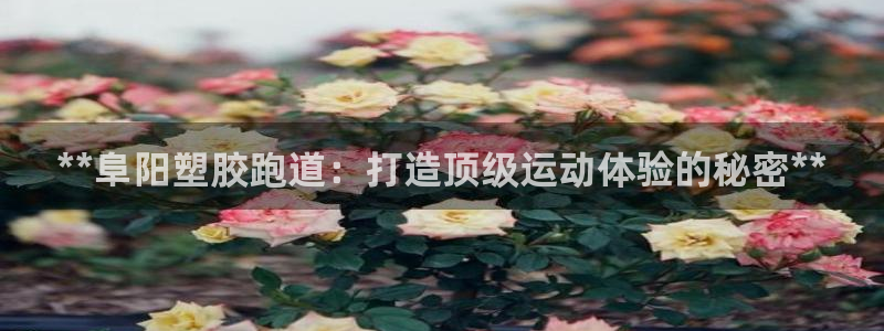 红足一1世开奖记录：**阜阳塑胶跑道：打造顶级运动体验的秘密**