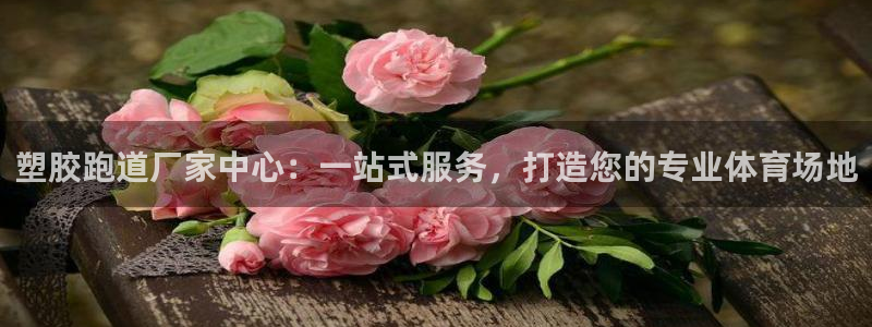 百度红足一1使用说明：塑胶跑道厂家中心：一站式服务，打造您的专业体育场地
