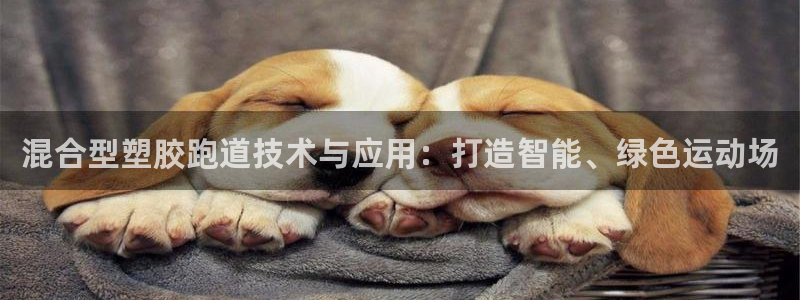 红足一1世666814足球：混合型塑胶跑道技术与应用：打造智能、绿色运动场