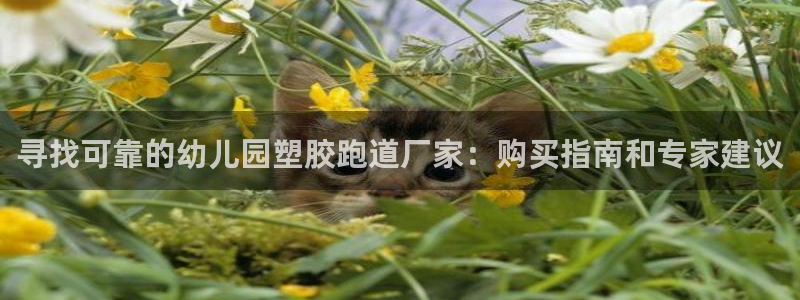 红足网足球直播：寻找可靠的幼儿园塑胶跑道厂家：购买指南和专家建议