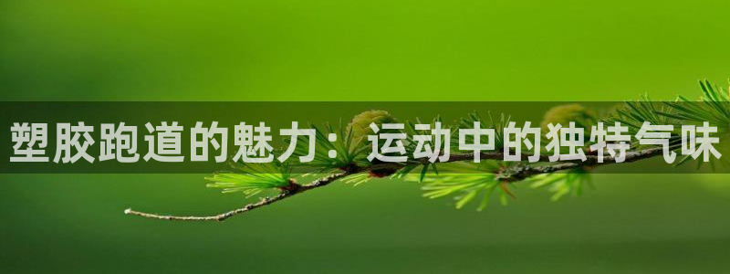 红足1世手足球比分：塑胶跑道的魅力：运动中的独特气味