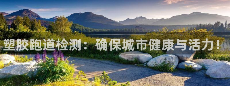 55814红足1世：塑胶跑道检测：确保城市健康与活力！