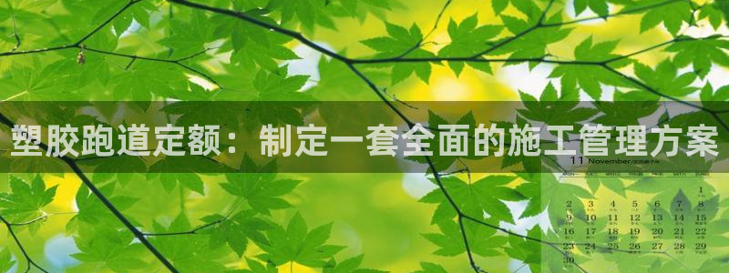 55814红足1世：塑胶跑道定额：制定一套全面的施工管理方案