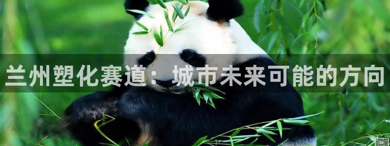 红足1世足球网址大全：兰州塑化赛道：城市未来可能的方向