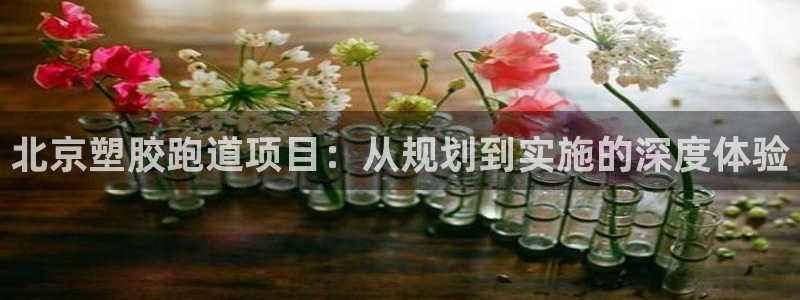 333814红·足一世比分：北京塑胶跑道项目：从规划到实施的深度体验