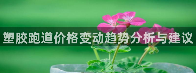 红足1世官网：塑胶跑道价格变动趋势分析与建议