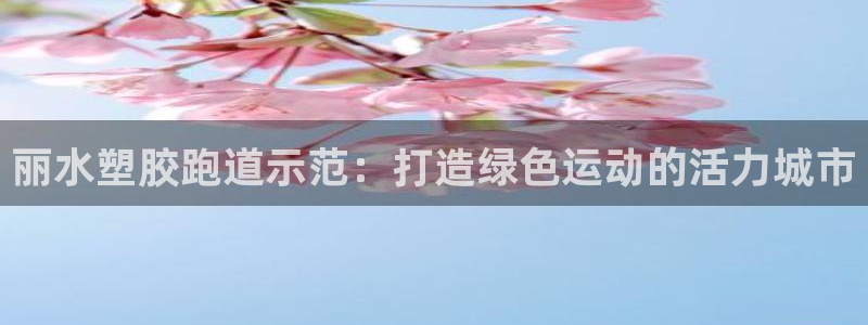77814红足1世：丽水塑胶跑道示范：打造绿色运动的活力城市