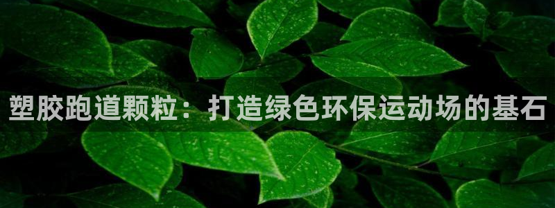 红足一1世66814新宝：塑胶跑道颗粒：打造绿色环保运动场的基石