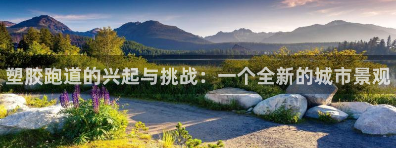 红足一：塑胶跑道的兴起与挑战：一个全新的城市景观