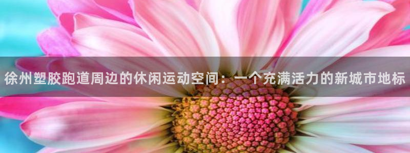 红足一：徐州塑胶跑道周边的休闲运动空间：一个充满活力的新城市地标