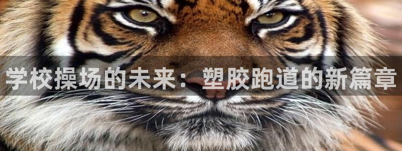 百度红足一1是什么样子的：学校操场的未来：塑胶跑道的新篇章