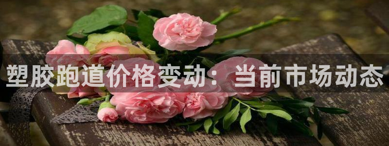 红足1世1站：塑胶跑道价格变动：当前市场动态