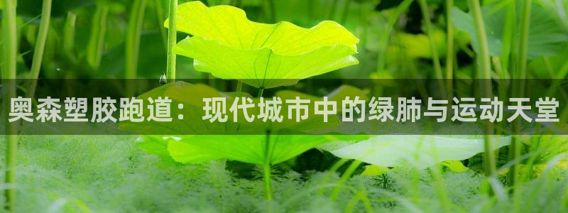 红足一一世：奥森塑胶跑道：现代城市中的绿肺与运动天堂