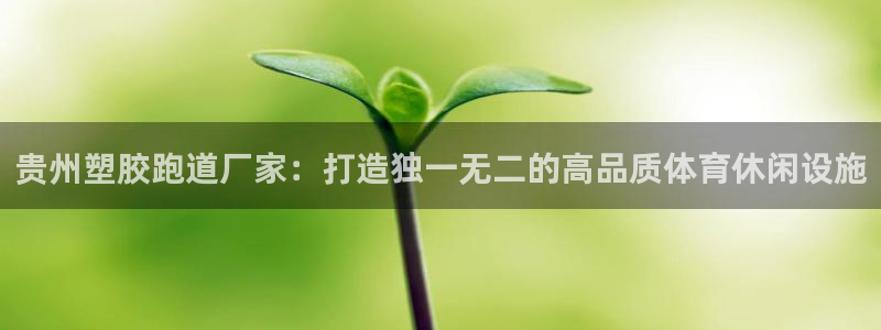55814红足1世：贵州塑胶跑道厂家：打造独一无二的高品质体育休闲设施