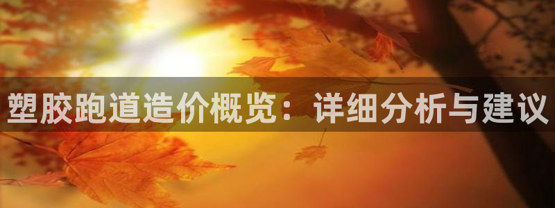 红足一1世666814足球：塑胶跑道造价概览：详细分析与建议