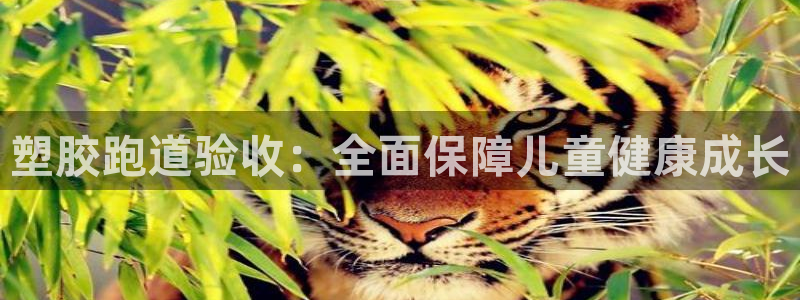 55814红足1世