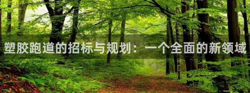红足一1世666814足球：塑胶跑道的招标与规划：一个全面的新领域