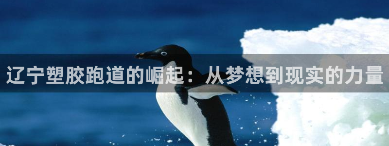 红足一1世比分：辽宁塑胶跑道的崛起：从梦想到现实的力量