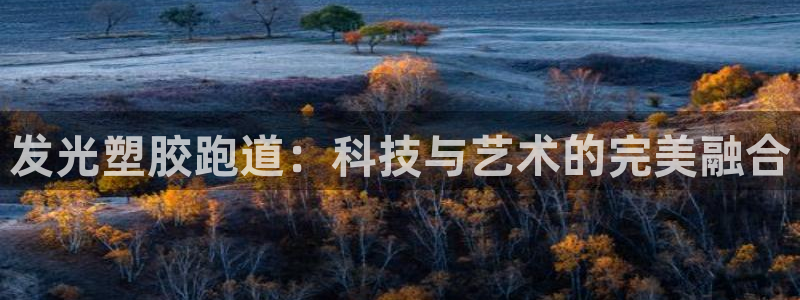 红足i世足球手机网：发光塑胶跑道：科技与艺术的完美融合