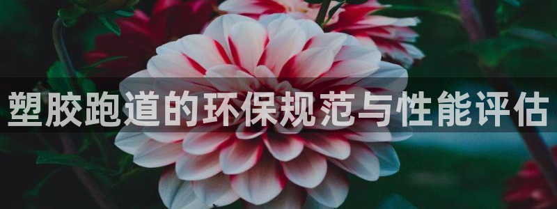 红足一1世手机版赛果：塑胶跑道的环保规范与性能评估