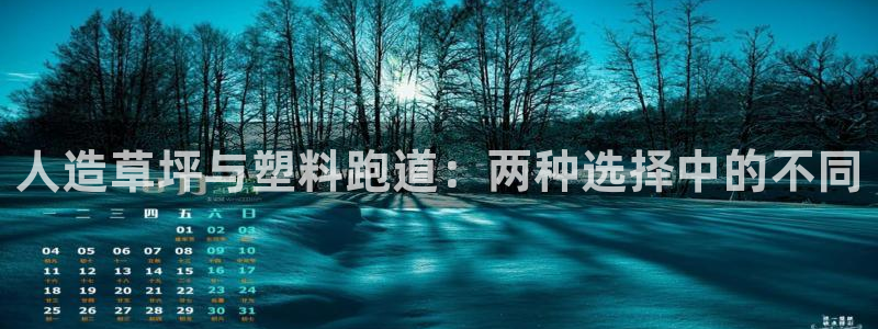 红足1世足球比分：人造草坪与塑料跑道：两种选择中的不同